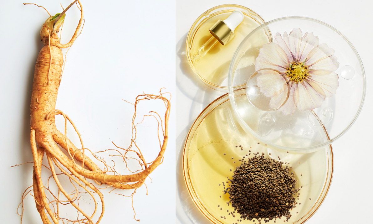 NUENCE : LE MEILLEUR DES 2 MONDES