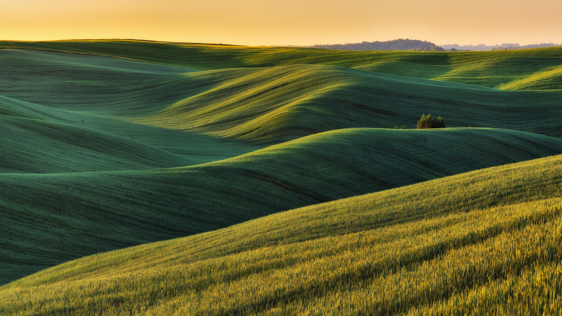 NUENCE - Responsabilité sociétale engagée