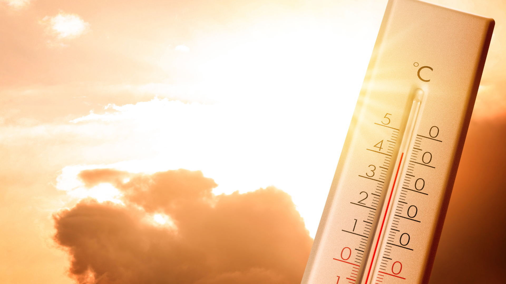 CANICULE ET MTC: COMMENT BIEN SE PROTÉGER