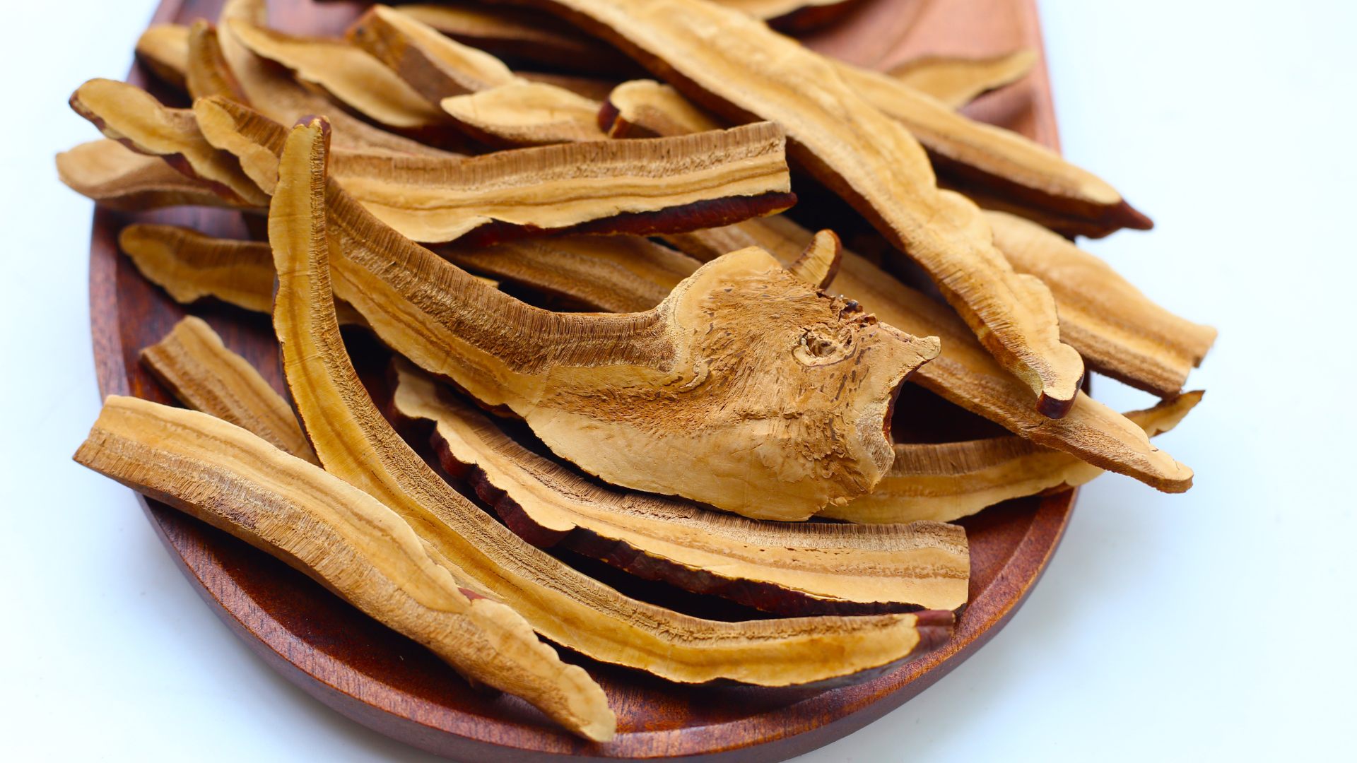 CHAMPIGNONS MÉDICINAUX: TRADITION ET NOUVELLE POPULARITÉ