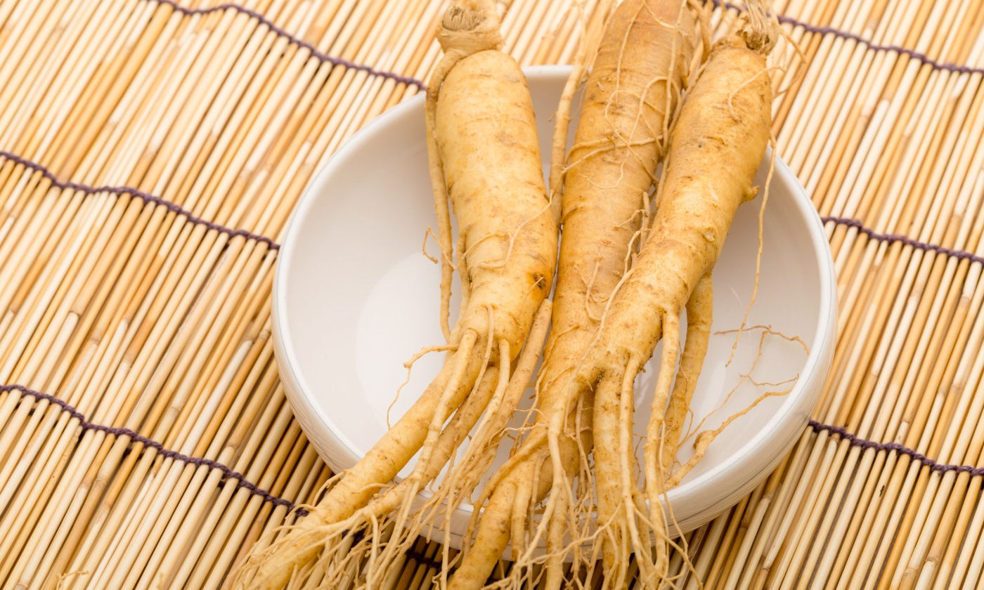 LE GINSENG : RACINE DE VIE ET ALLIÉ DU SOIN HOLISTIQUE