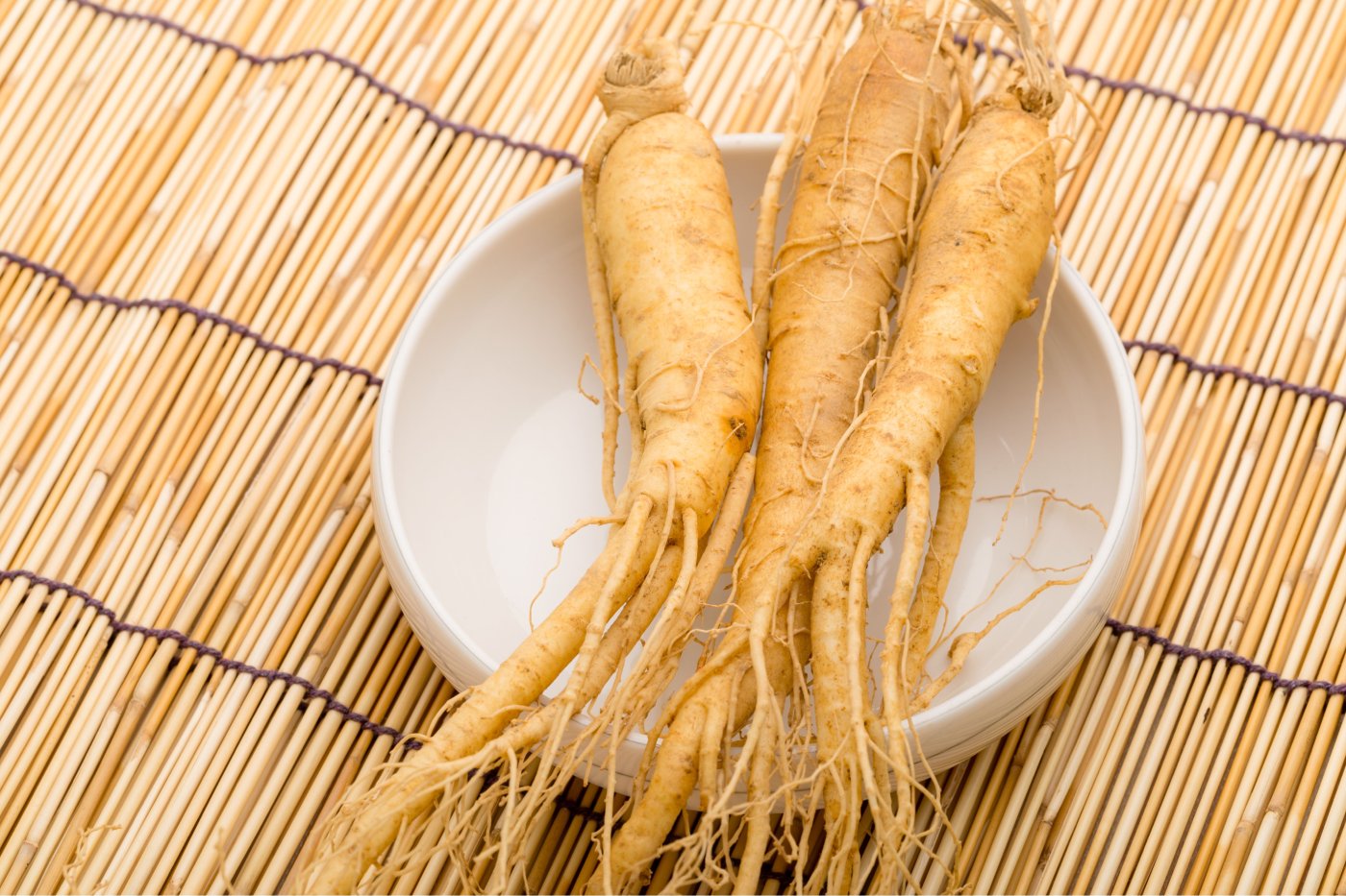 LE GINSENG : RACINE DE VIE ET ALLIÉ DU SOIN HOLISTIQUE