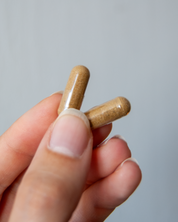 LE BOIS - RITUEL PURIFIANT IN & OUT